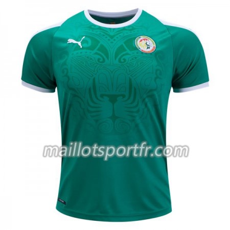 Maillot de Foot Sénégal Exterieur Coupe du monde 2018